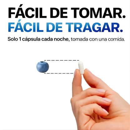 Magnesio Complex™ – 8 en 1 para tu salud y energía diaria.