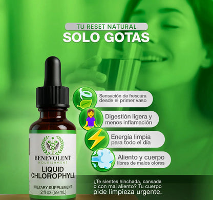 Clorofila líquida- Detox Pulmonar para Eliminar Toxinas, Flema y Alquitrán OFERTA ESTE MES 👩🏻‍⚕️ ✅ OFERTA 2X1 ✅